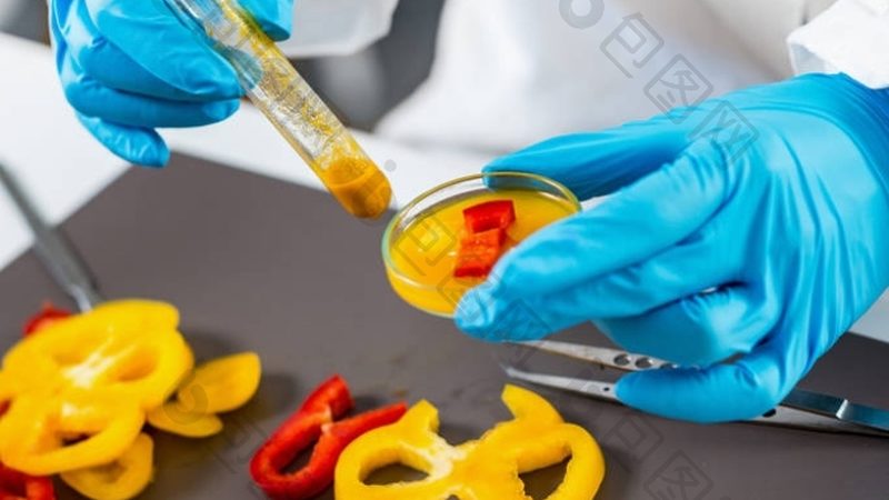 速冻食品展2025：观众预登记背后的行业洞察